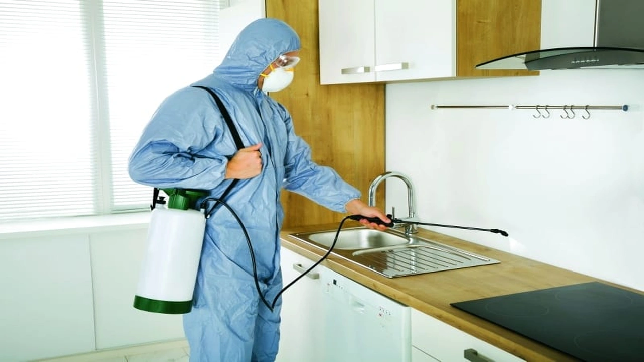 صورة افضل شركة مبيدات حشرية في قطر