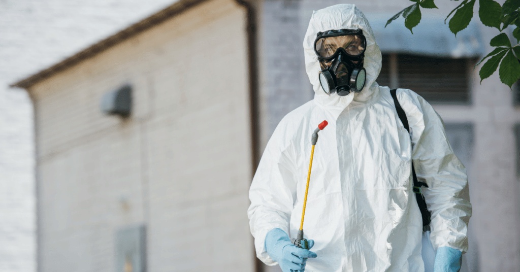 افضل شركة مكافحة حشرات بينبع