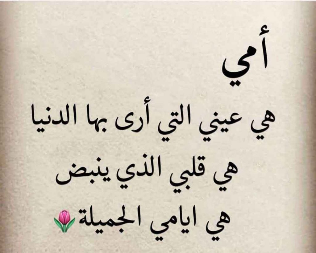 اقتباسات عن الام