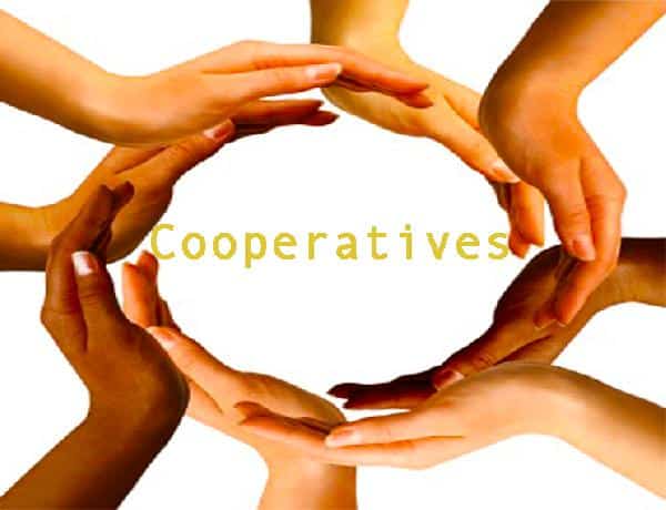 اقتراح أسماء تعاونيات