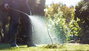 اقتراح أسماء شركات مبيدات زراعية