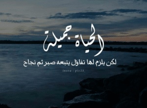 اقوال في الحياة