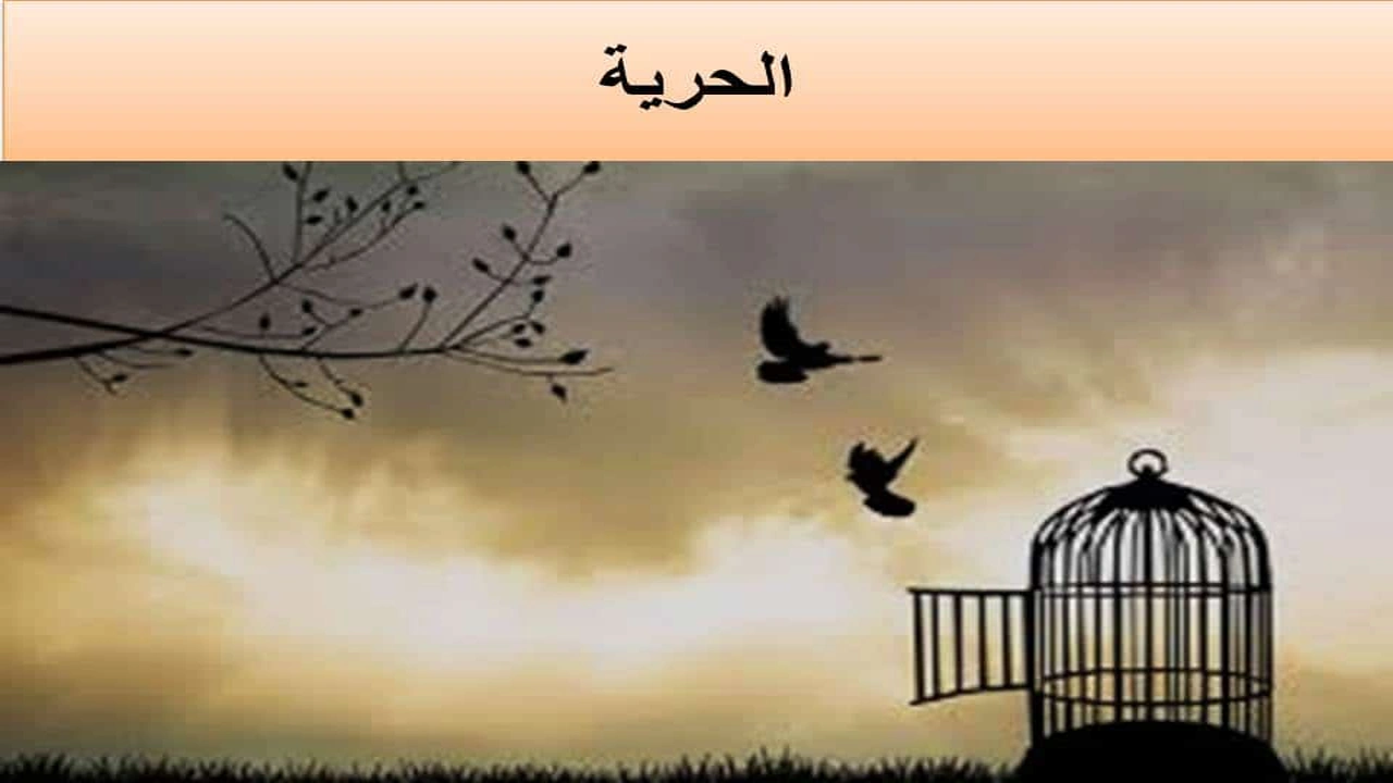 صورة اقوال مأثورة عن الحرية