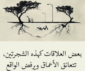 اقوال وحكم عن العلاقات