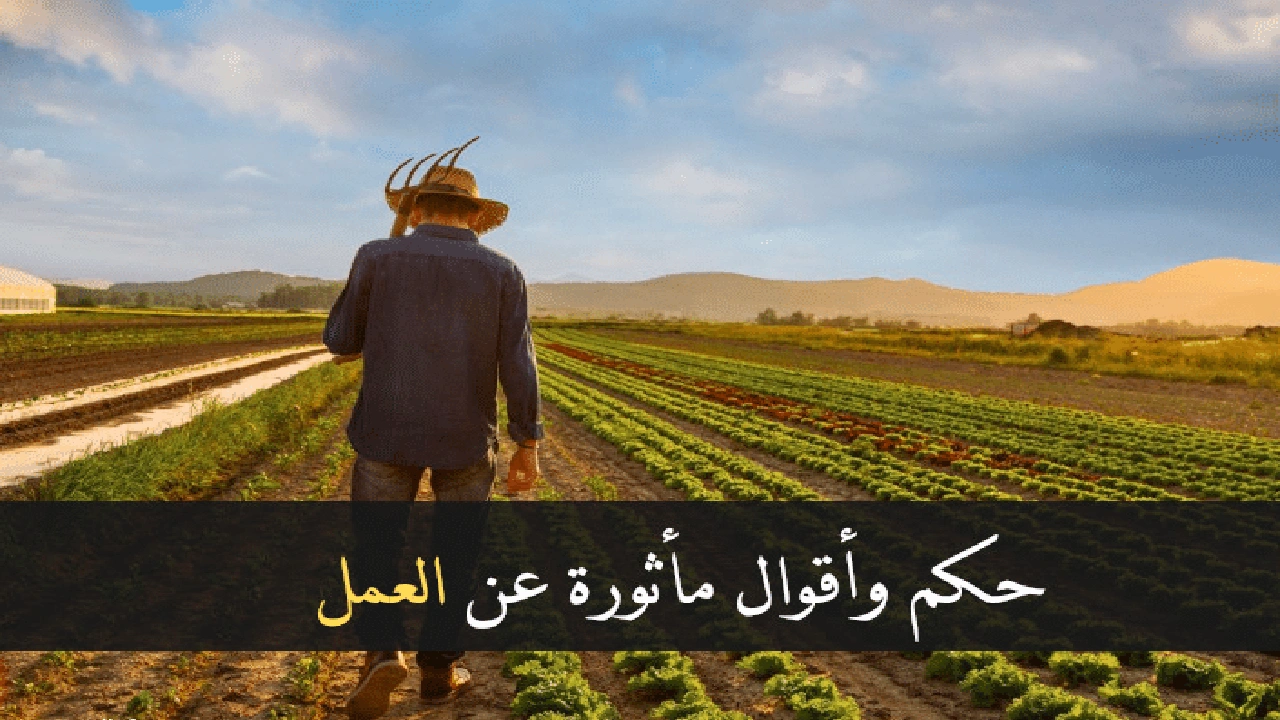 صورة اقوال وحكم عن العمل