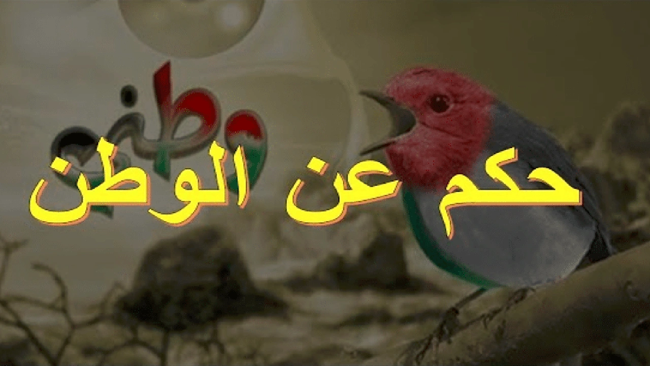 صورة اقوال وحكم عن الوطن