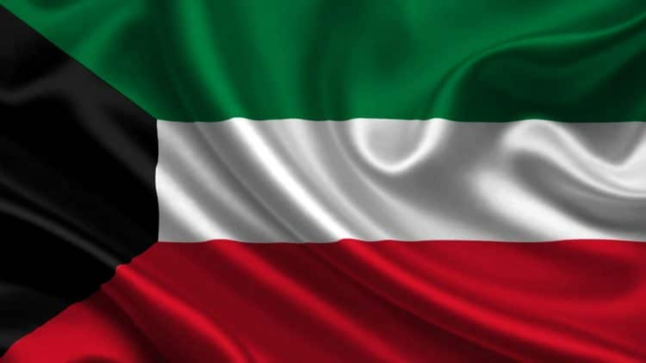 صورة الاستعلام الشخصي