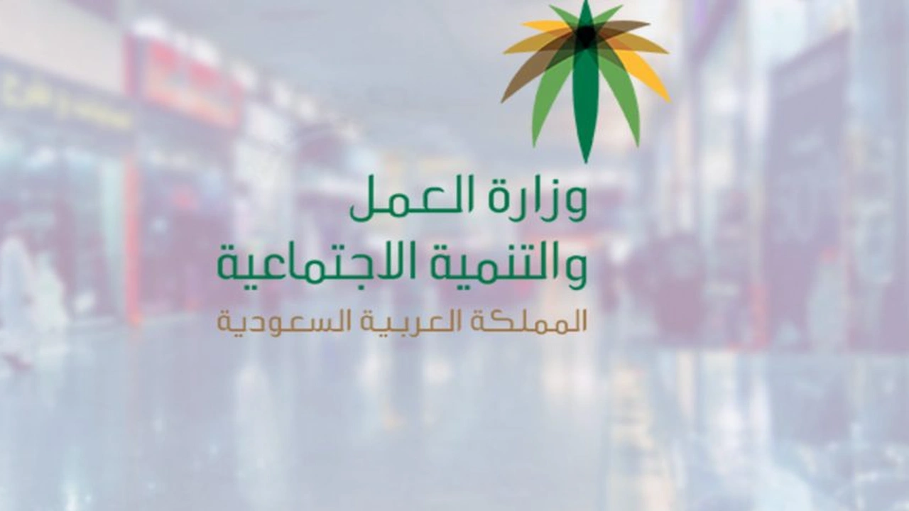 صورة الاستعلام عن خدمات مكتب العمل