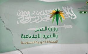 الاستعلام عن مكتب العمل وافد