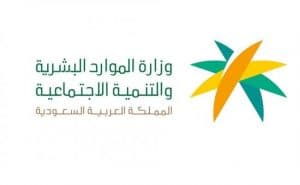 الاستعلام عن منشأة فردية