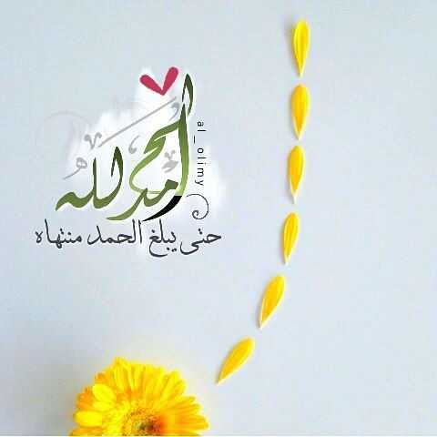 الحمد لله حتى يبلغ الحمد منتهاه