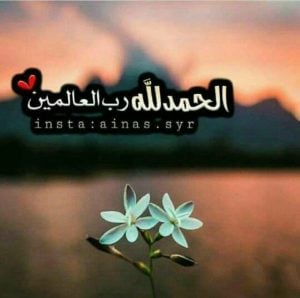 الحمد لله رب العالمين