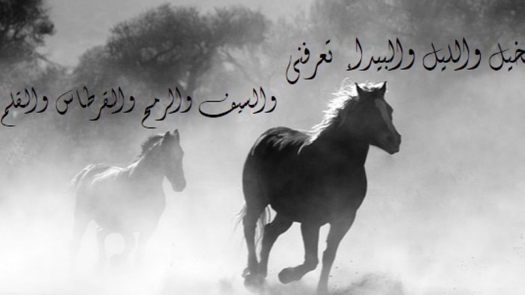 الخيل والليل والبيداء تعرفني