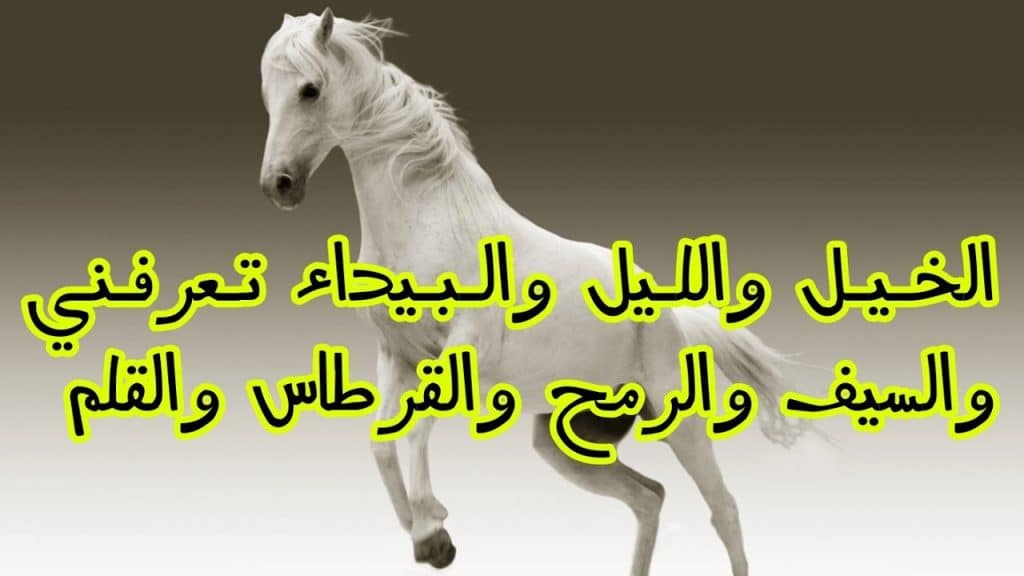 الخيل والليل والبيداء تعرفني