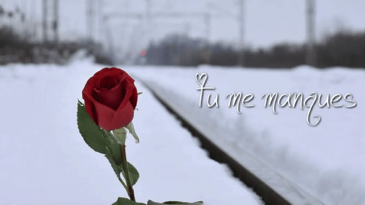 صورة الرد على tu me manque