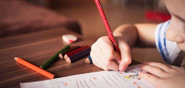 الفرق بين البيداغوجيا والديداكتيك