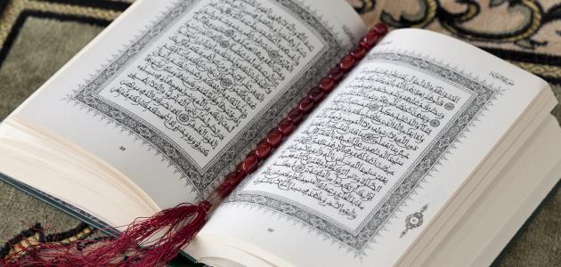 الفرق بين الزوج والبعل