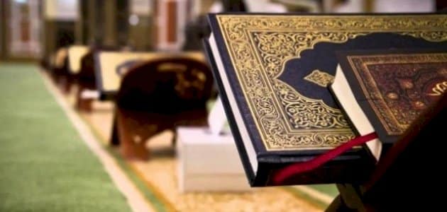 الفرق بين الزوجة والمرأة