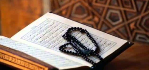 الفرق بين الزوجة والمرأة