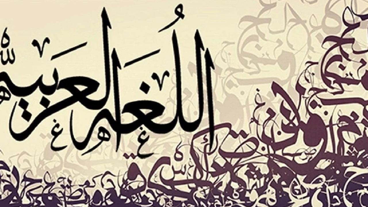 صورة الفرق بين كل وجميع