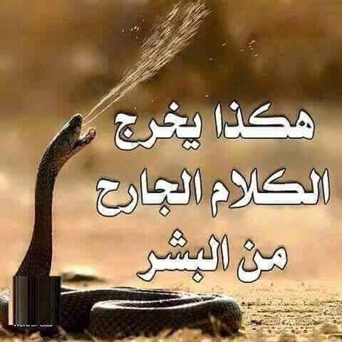الكلمات الجارحة