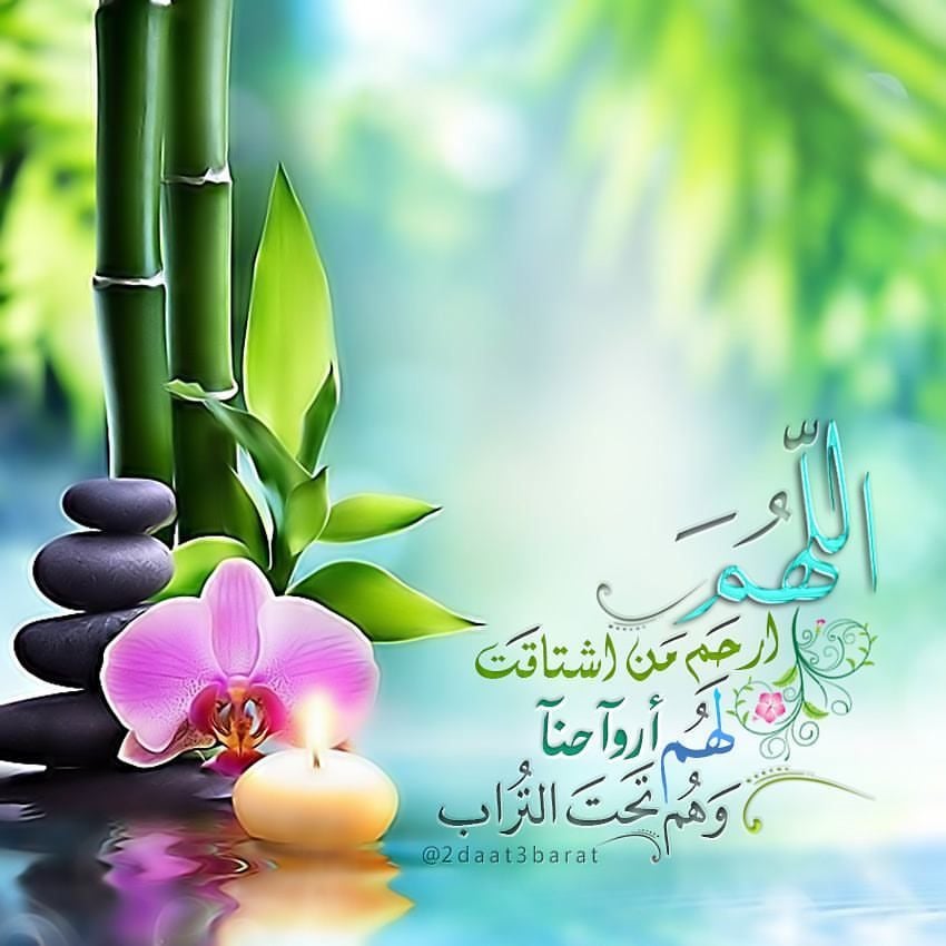 اللهم ارحم من اشتاقت لهم أنفسنا وهم تحت التراب