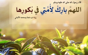 اللهم بارك لأمتي في بكورها