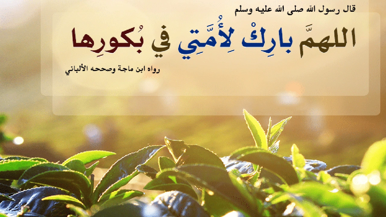 صورة اللهم بارك لأمتي في بكورها