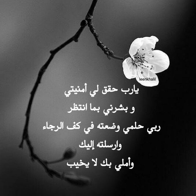 اللهم حقق لي ما أتمنى ، و بشرني بما أنتظر
