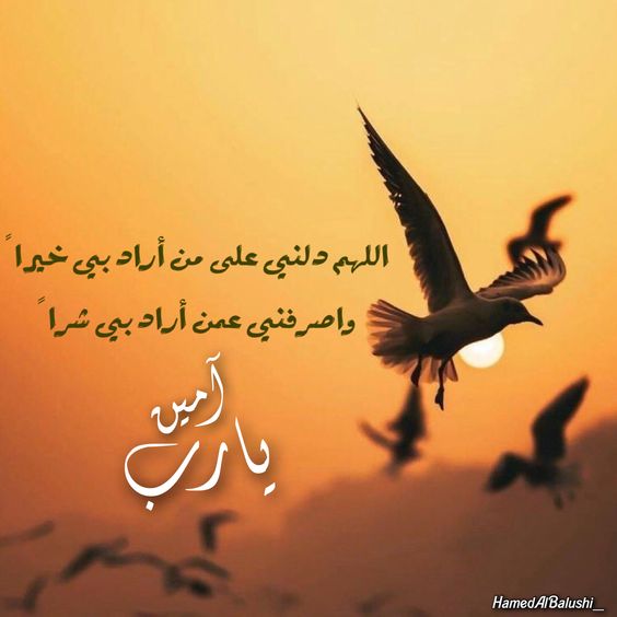اللهم دلني على من اراد بي خيرا