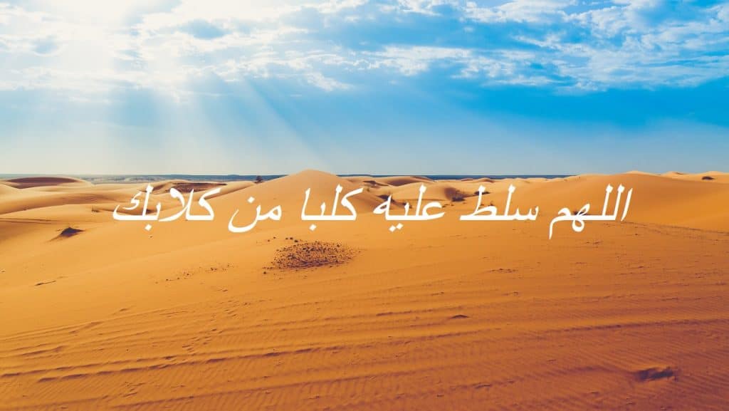 اللهم سلط عليه كلبا من كلابك