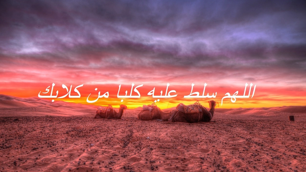 صورة اللهم سلط عليه كلبا من كلابك