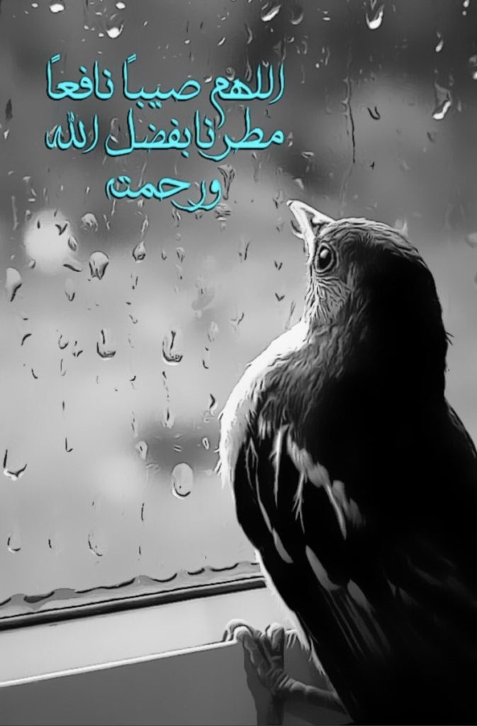 اللهم صيبا نافعا