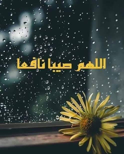 اللهم صيبا نافعا