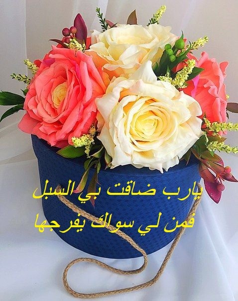 اللهم ضاقت بي الدنيا