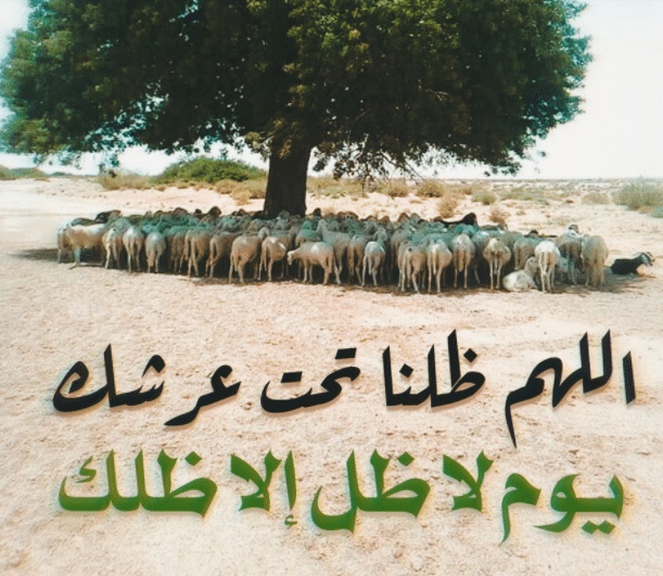 اللهم ضلنا بضلك يوم لاضل الا ضلك