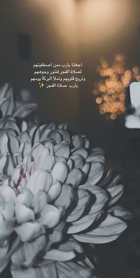 اللهم في هذا الفجر