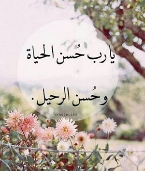اللهم نسألك حسن الخاتمه
