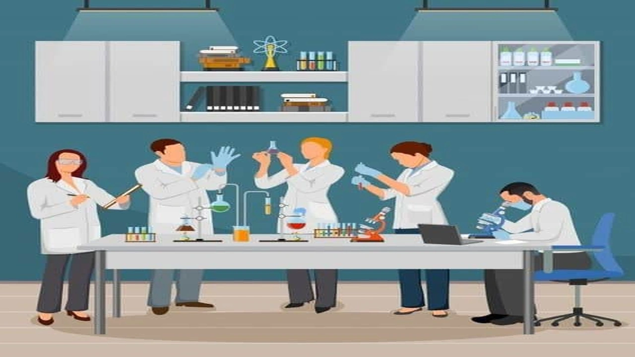 صورة الوصف الوظيفي لطبيب المختبر