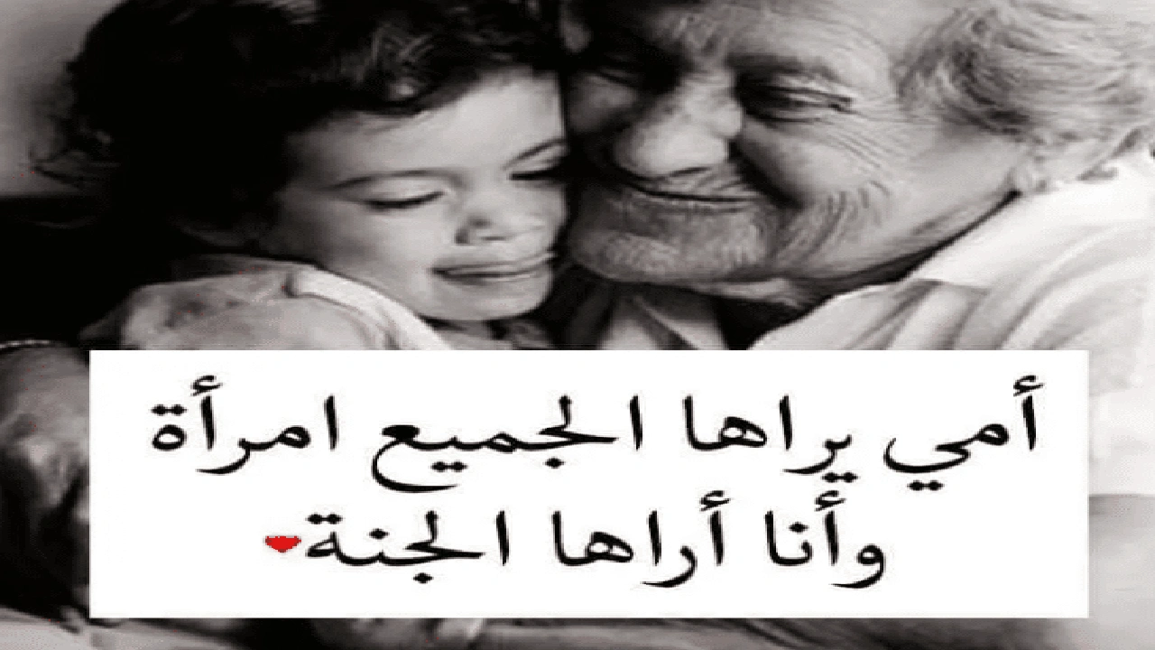 صورة امثال شعبية عن حب الام