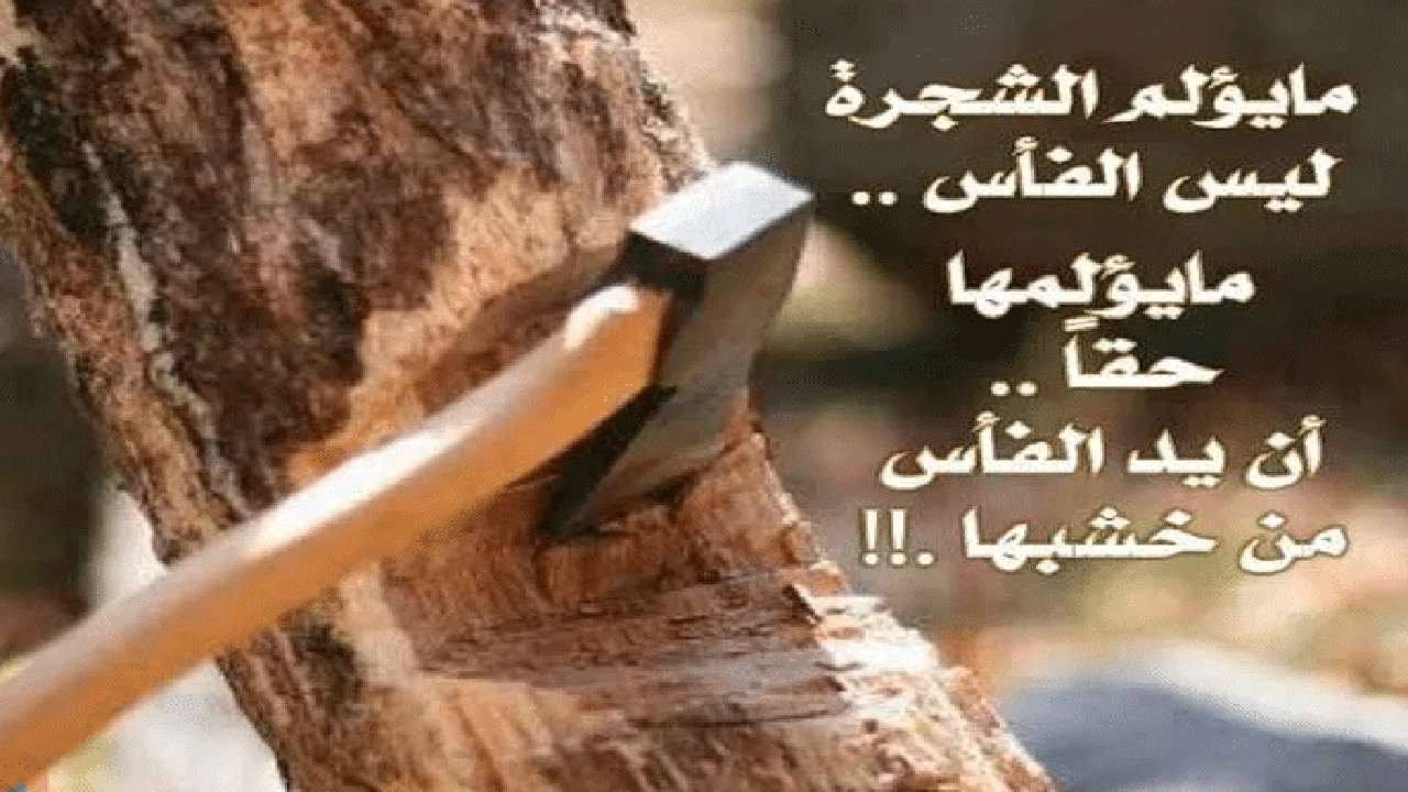 صورة امثال وحكم بالصور
