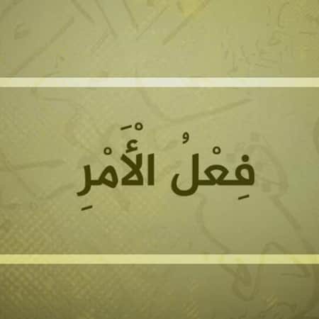 امثلة على بناء فعل الامر