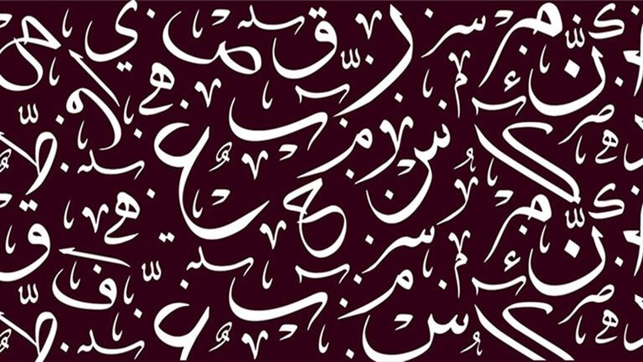 صورة امثلة على جمل شرطية