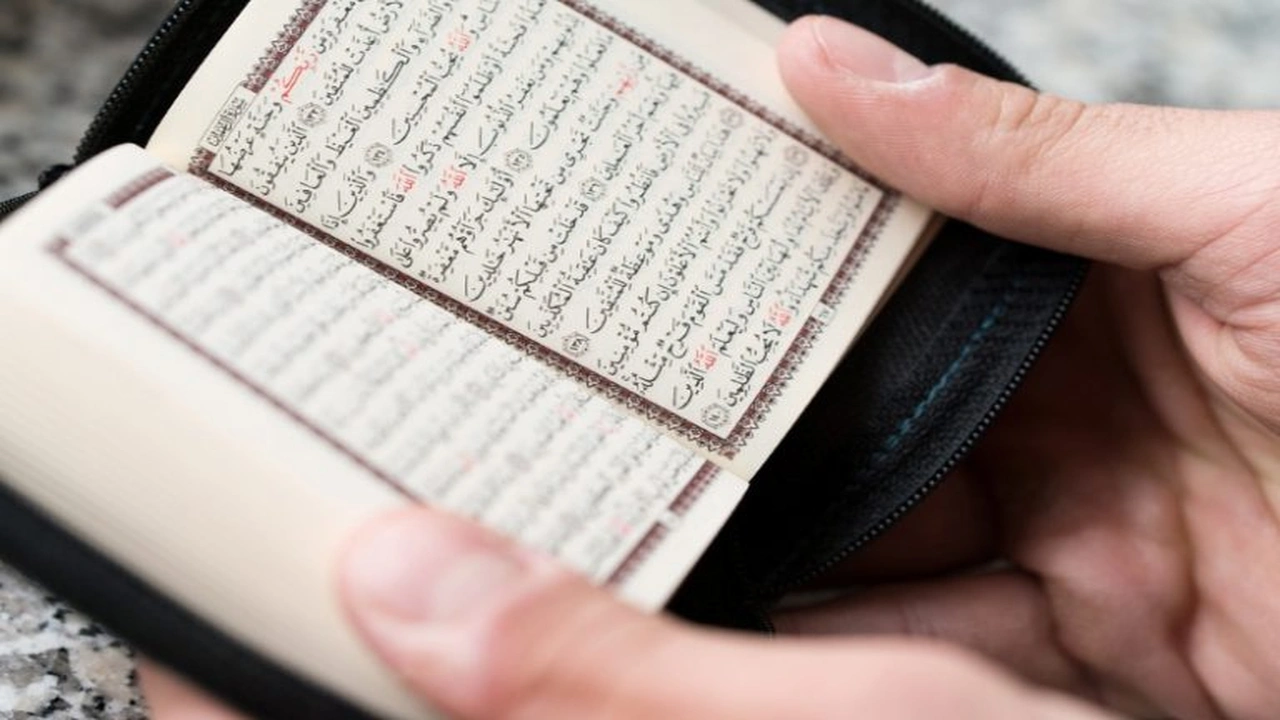 صورة امثلة على حكم الادغام