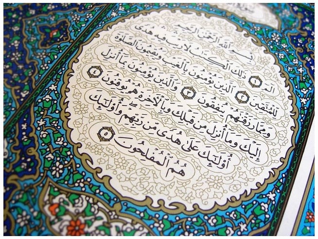 امثلة على حكم الادغام