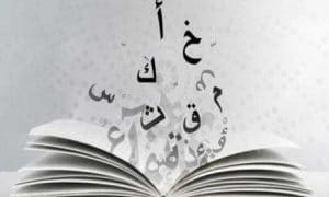 امثلة على خبر جملة اسمية