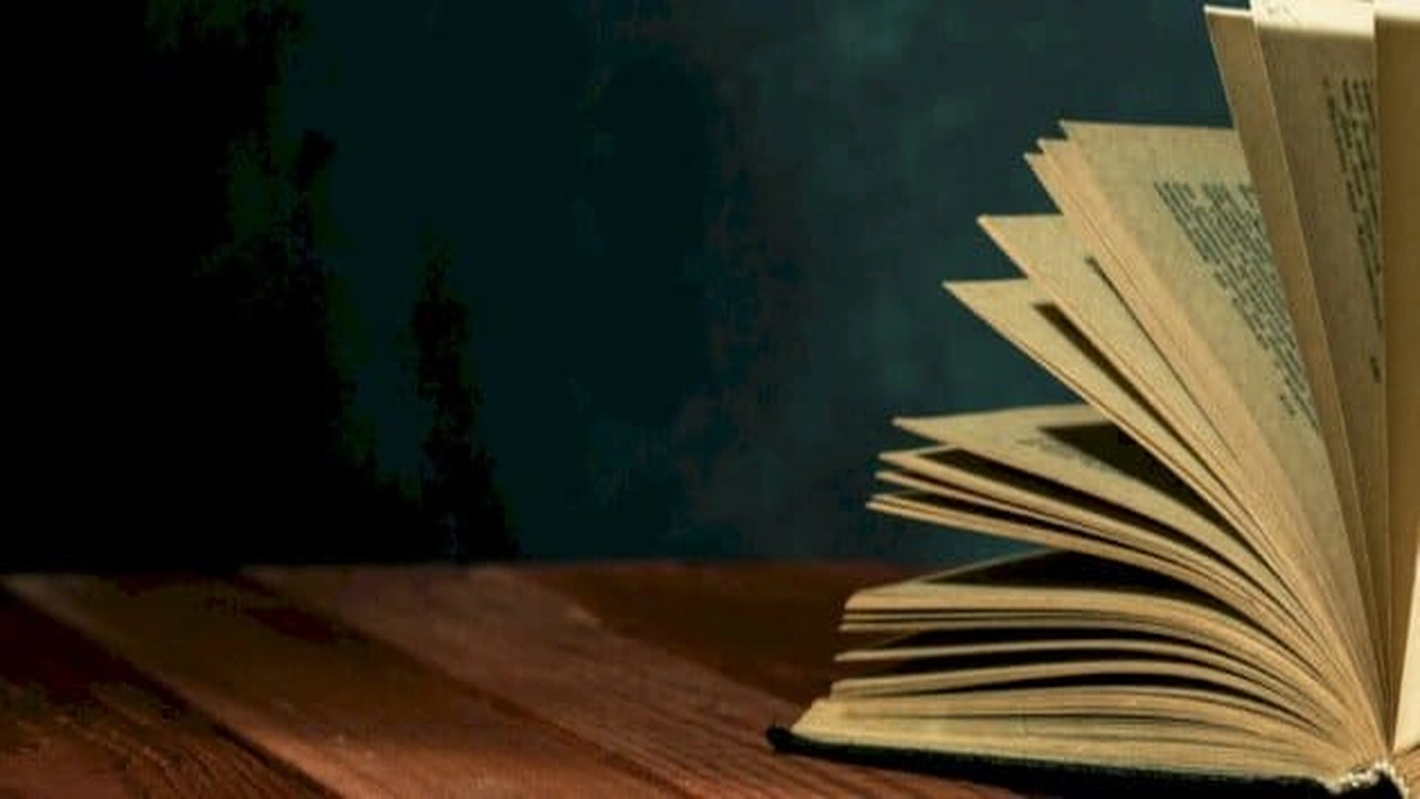 صورة امثلة على خبر شبه جملة