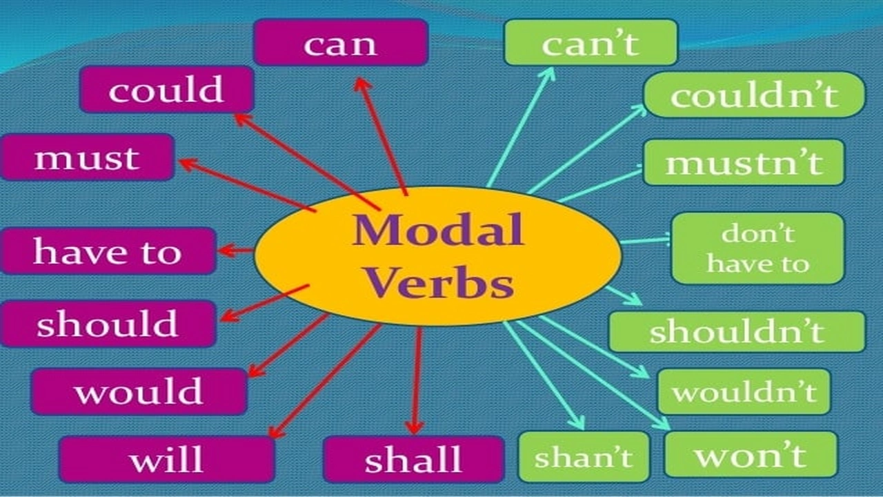 صورة امثلة على قاعدة modal verbs