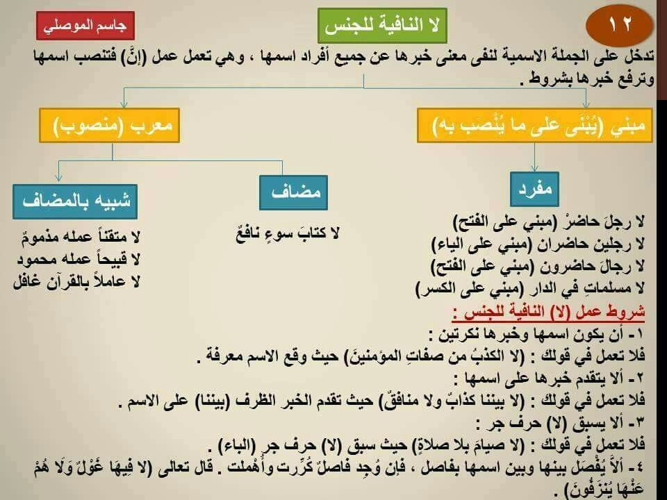 امثلة عن اعراب لا النافية للجنس