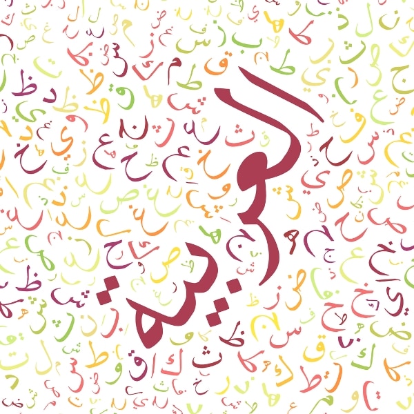 امثلة عن الاسماء السبع
